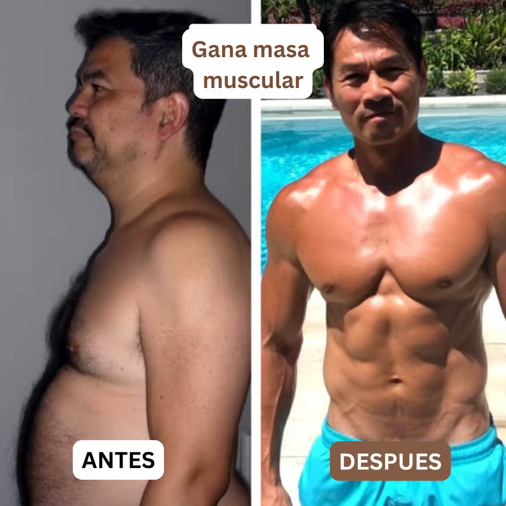 Complejo de órganos de res.